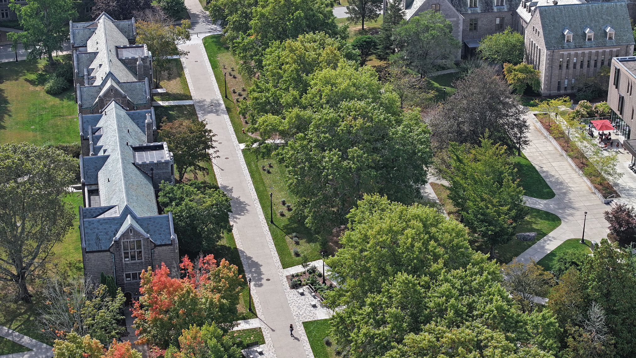 Cro Blvd Completed 7