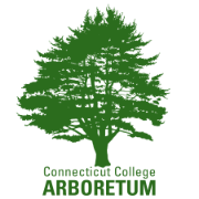 Connecticut College Arboretum Logo