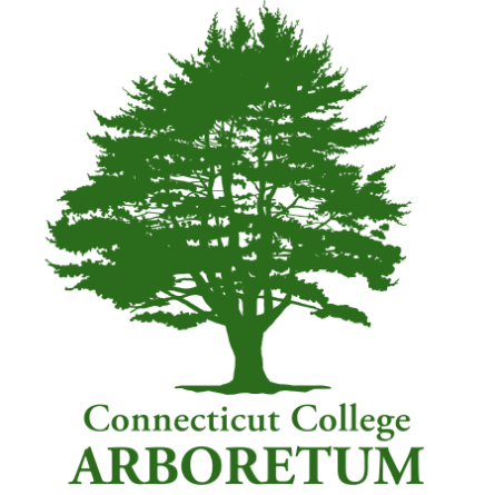 2024 Connecticut College Arboretum logo
