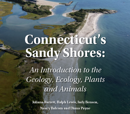 Connecticut's Sandy Shores Bulletin Cover
