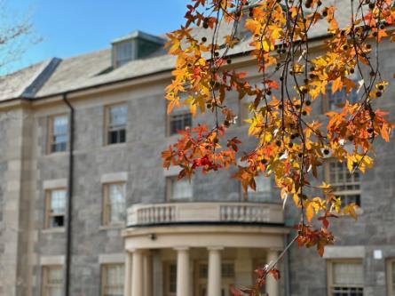 Fall foliage against the backdrop of Windham House