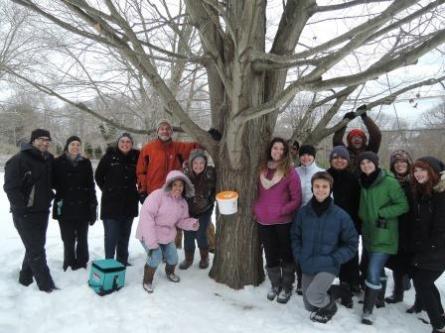 Maple syrup group standing around tree