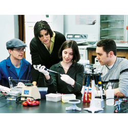 To date, 21 Connecticut College students have participated in cancer research with biology professor Martha Grossel (center, standing), many of whom have pursued careers in the medical field or graduate programs.