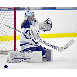 Goalie Kelsie Fralick '15 has been nominated for the 2104 BNY Mellon Wealth Management Hockey Humanitarian Award.