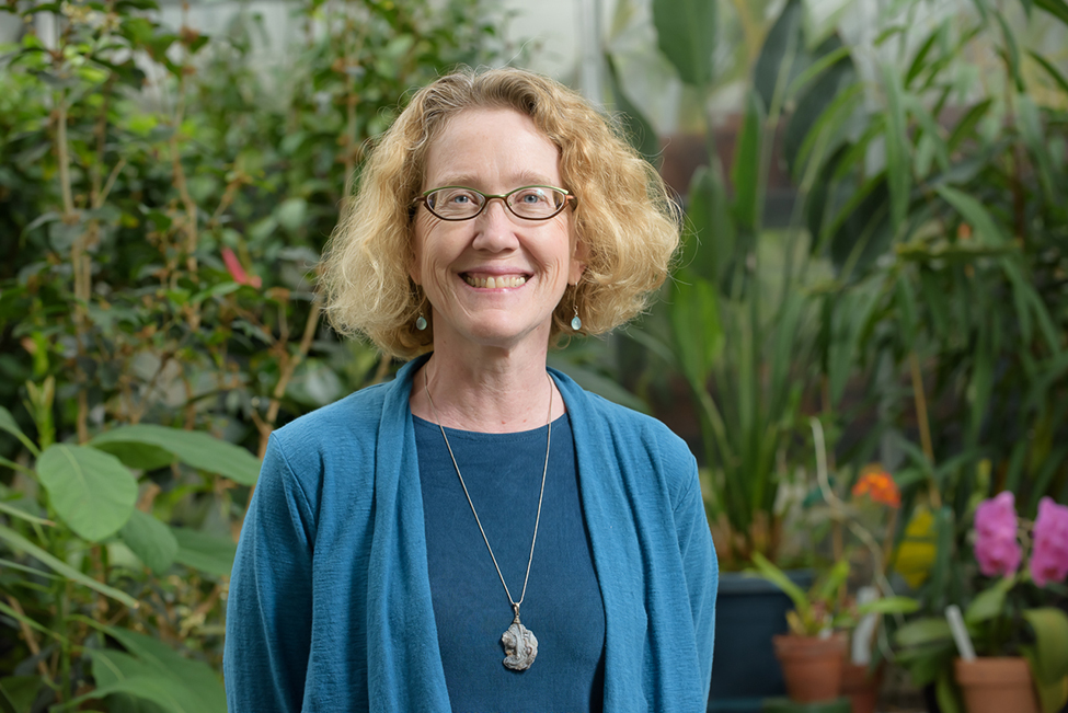 Professor Jane Dawson