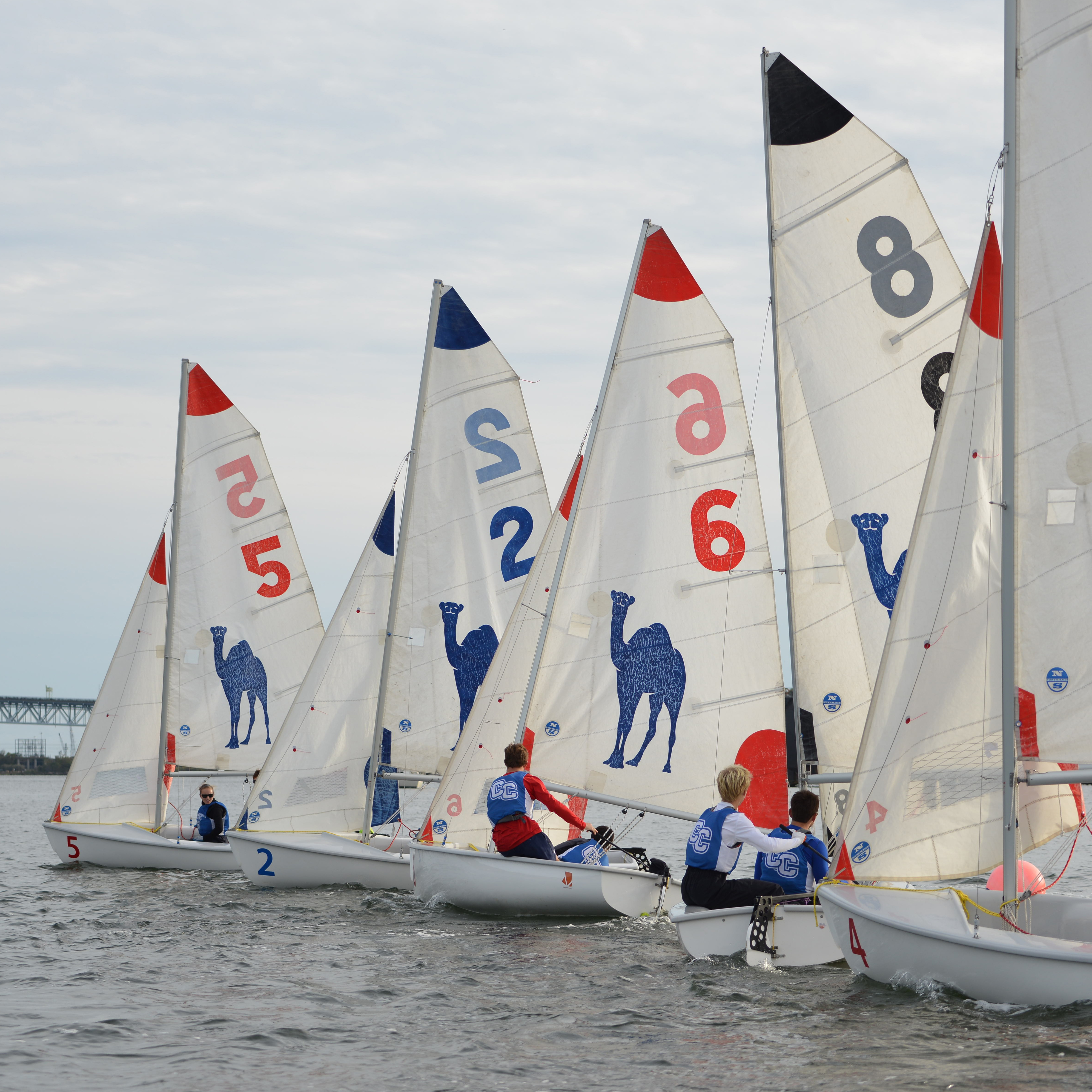 The College's coed sailing team beat out Ivy League opponents Brown and Cornell to win the Atlantic Coast Tournament.