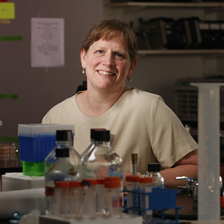 A headshot of Professor Anne Bernhard in her lab