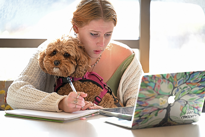 A student studies with a small dog on her lap.