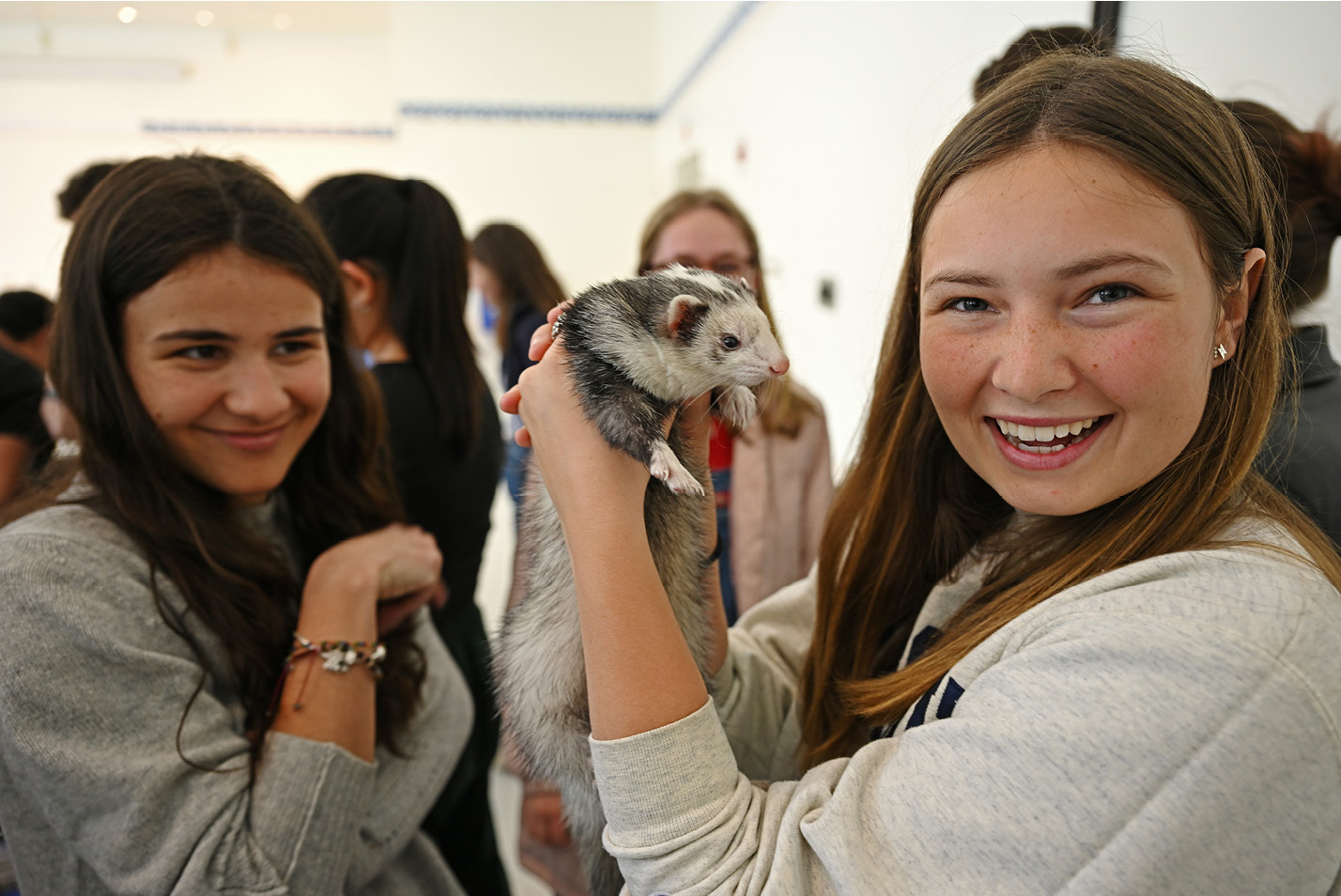 Students play with animals on campus to de-stress at a petting zoo from Warm and Fuzzy Animal Adventures Wednesday, April 19, 202
