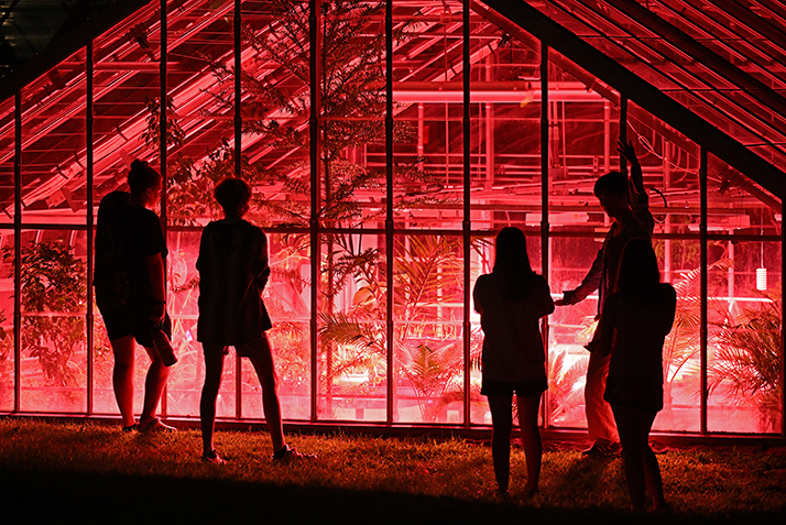 Students peek into the green house during the final event of Arrival Day.