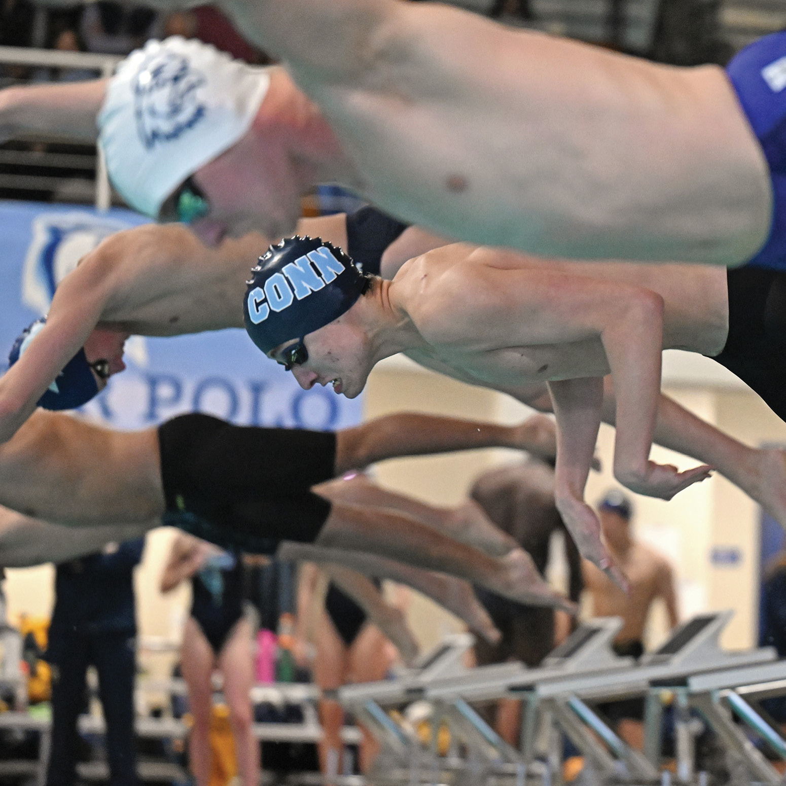 Male swimmers diving into pool
