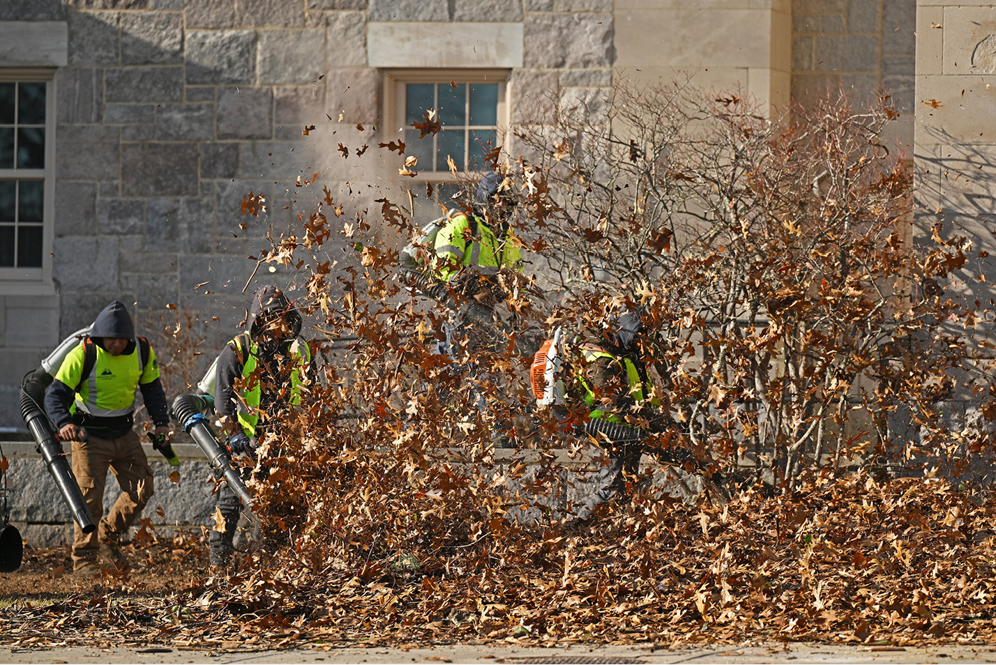 Workers blow leaves with leafblowers.