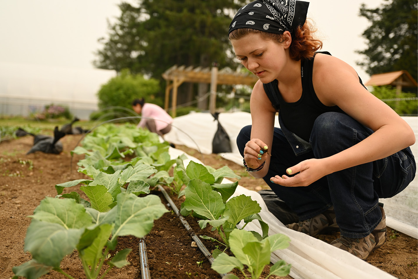 A student plants in the Sprout Garden.