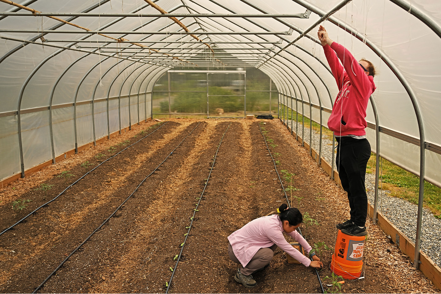 Students preparing the green house in the Sprout Garden.