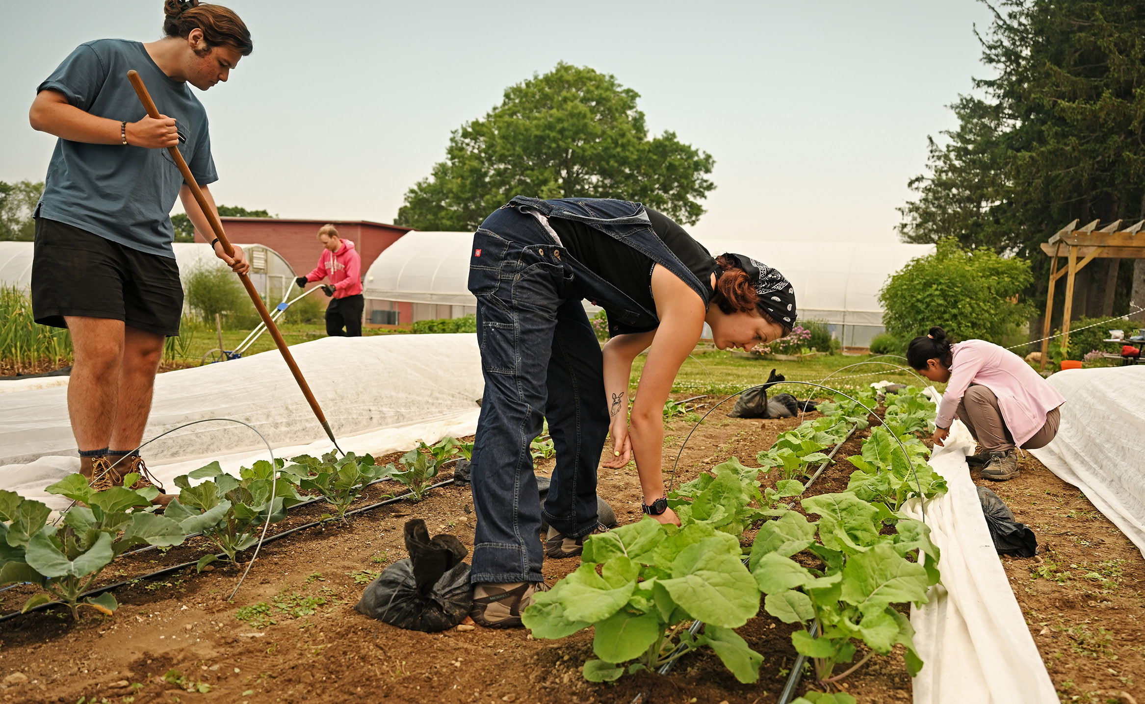 Student workers Jo Duckett ’25, Luke Johnson ’25, Ivan Rizzo ’25, and graduate Deji Baizhen ’23, work in the Sprout Garden Tuesday, June 6, 2023.