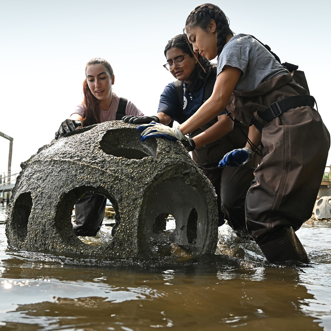 Student researchers place a reef ball into the Thames River