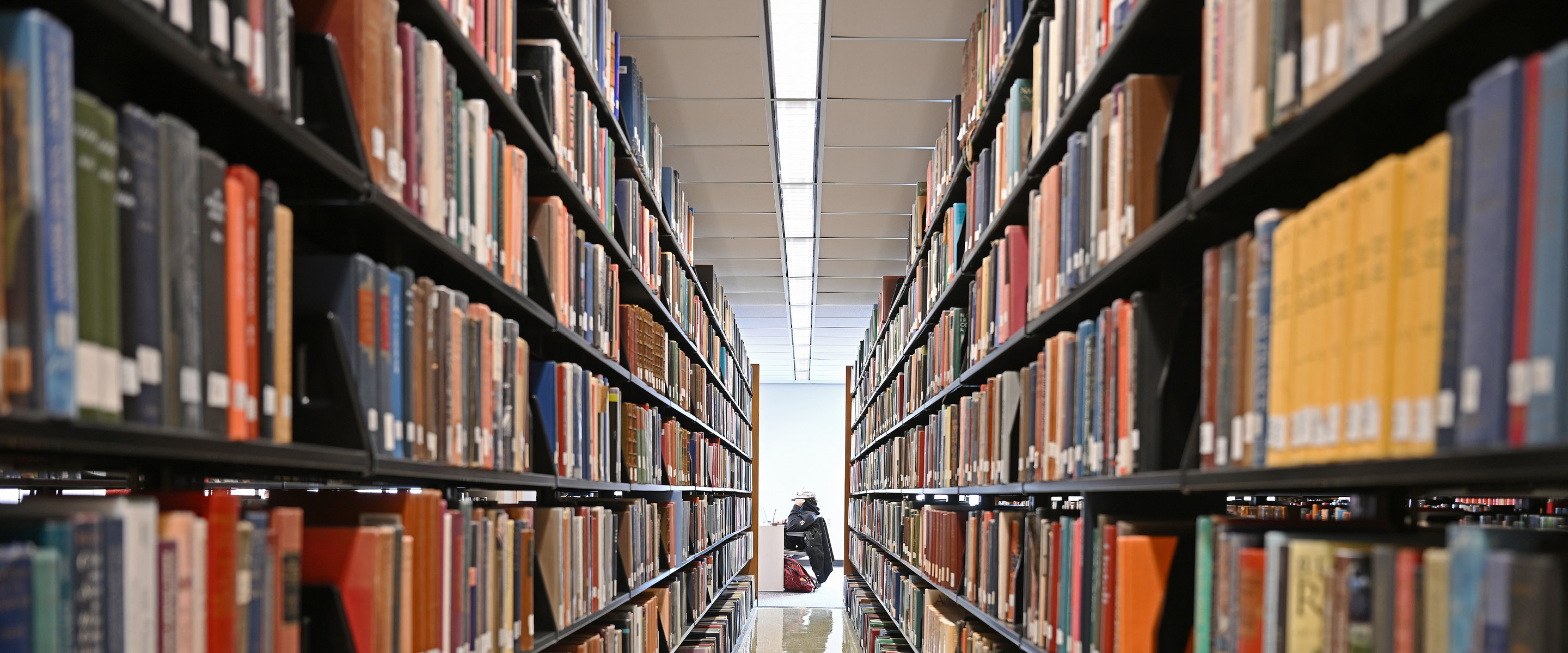 A student studies on the second floor of Shain Library.