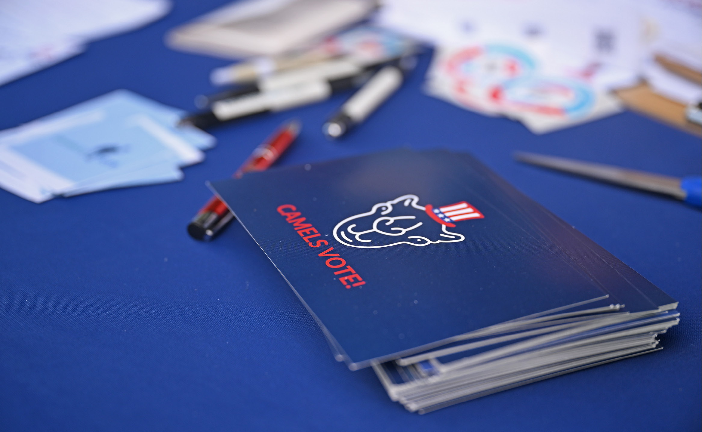 Camels vote postcards