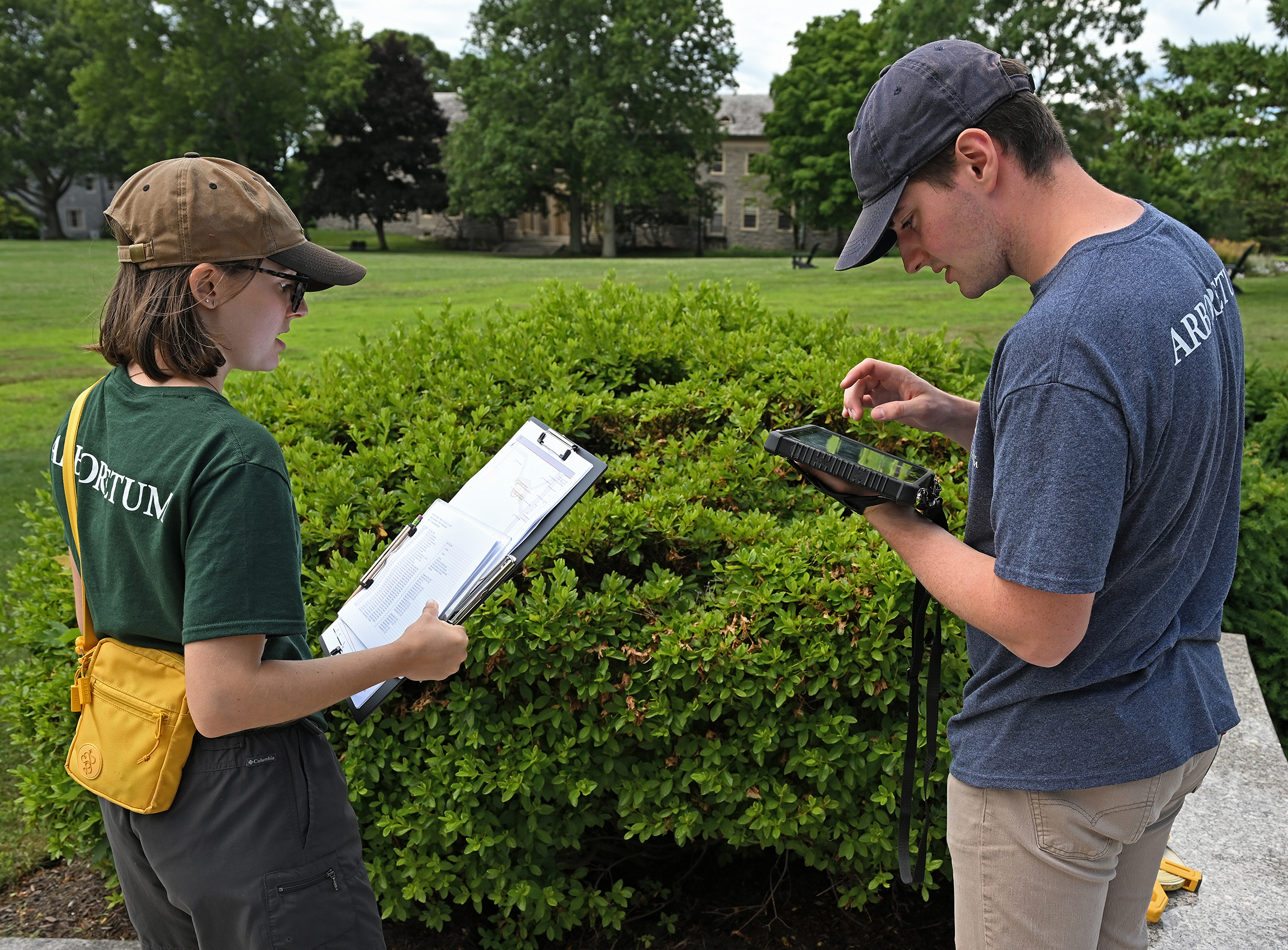 Two students take measurements and record data about a shrub
