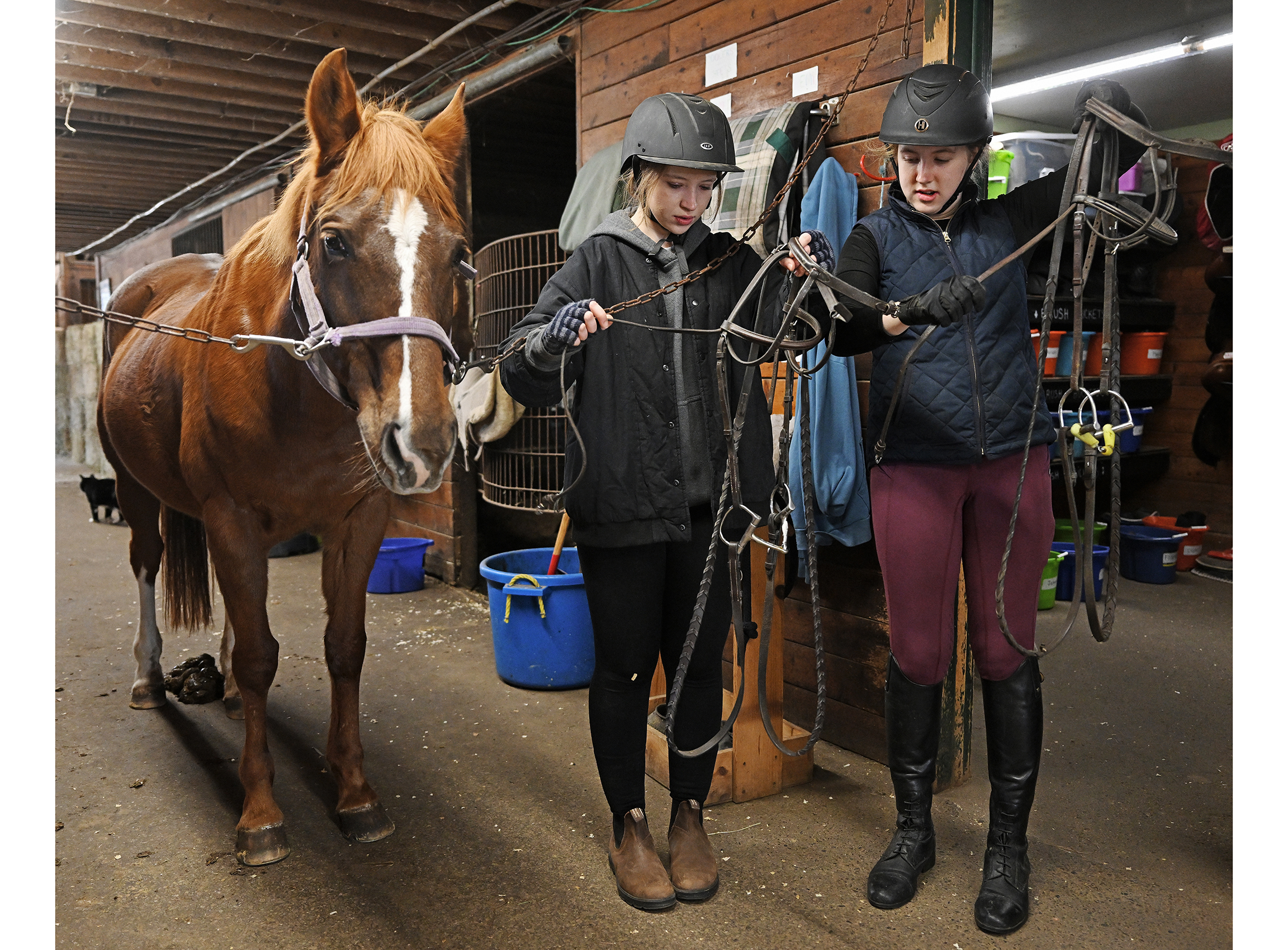 Two students work on stowing a horse bridle standing in a stable with a horse.