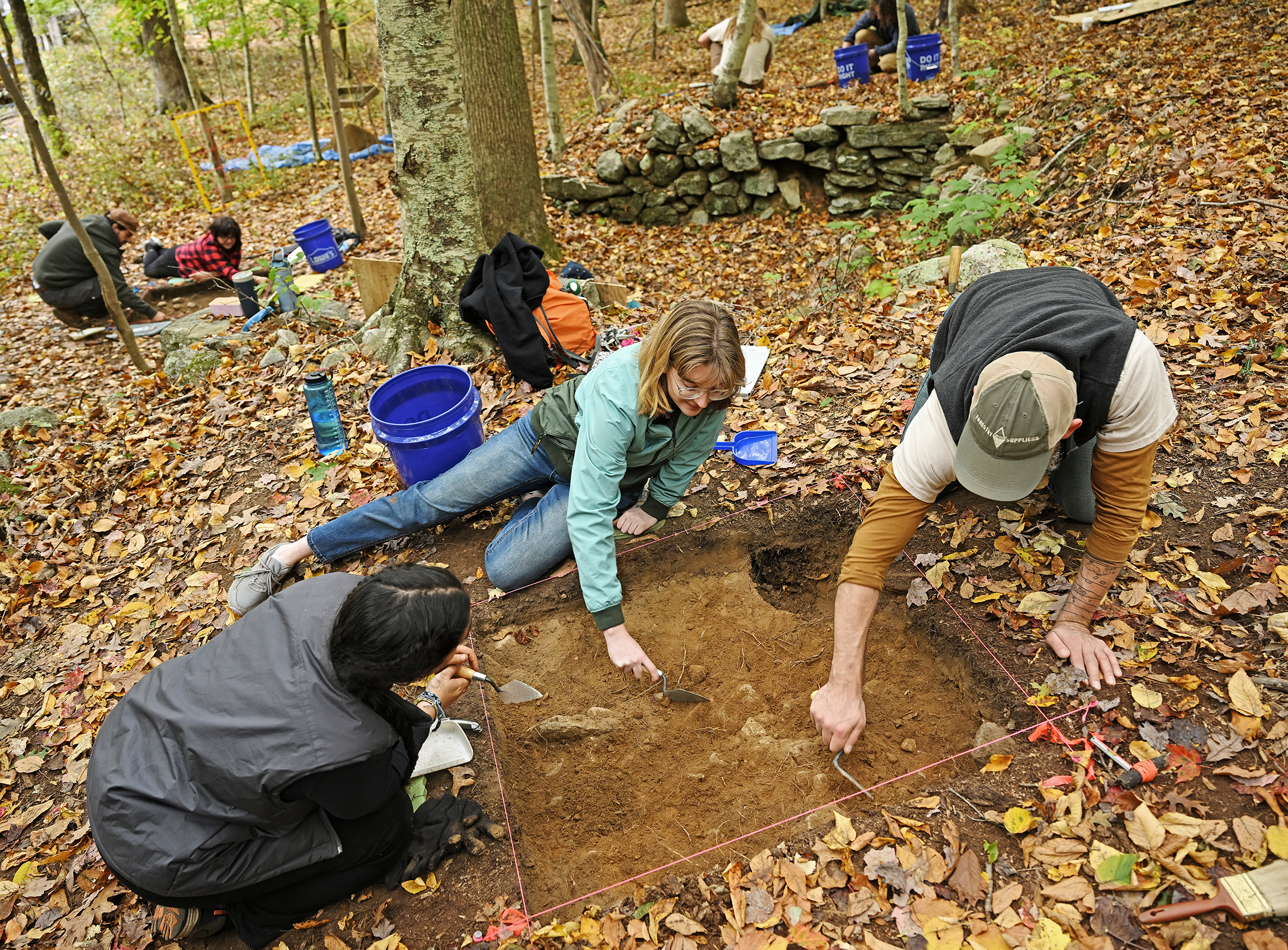 Archeology students work at a dig site in the woods.