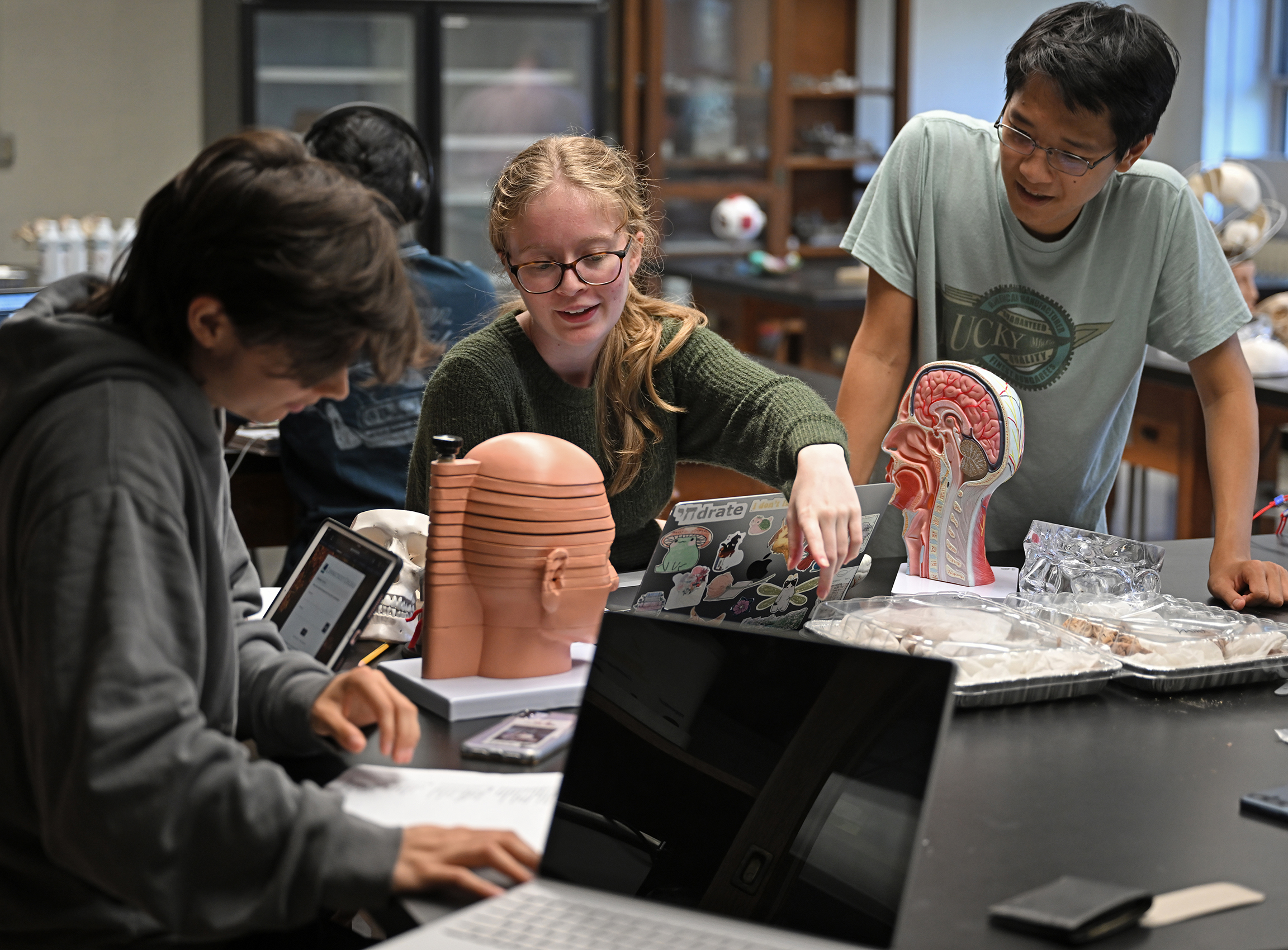college students study in a neurobiology lab with mockups of human heads.