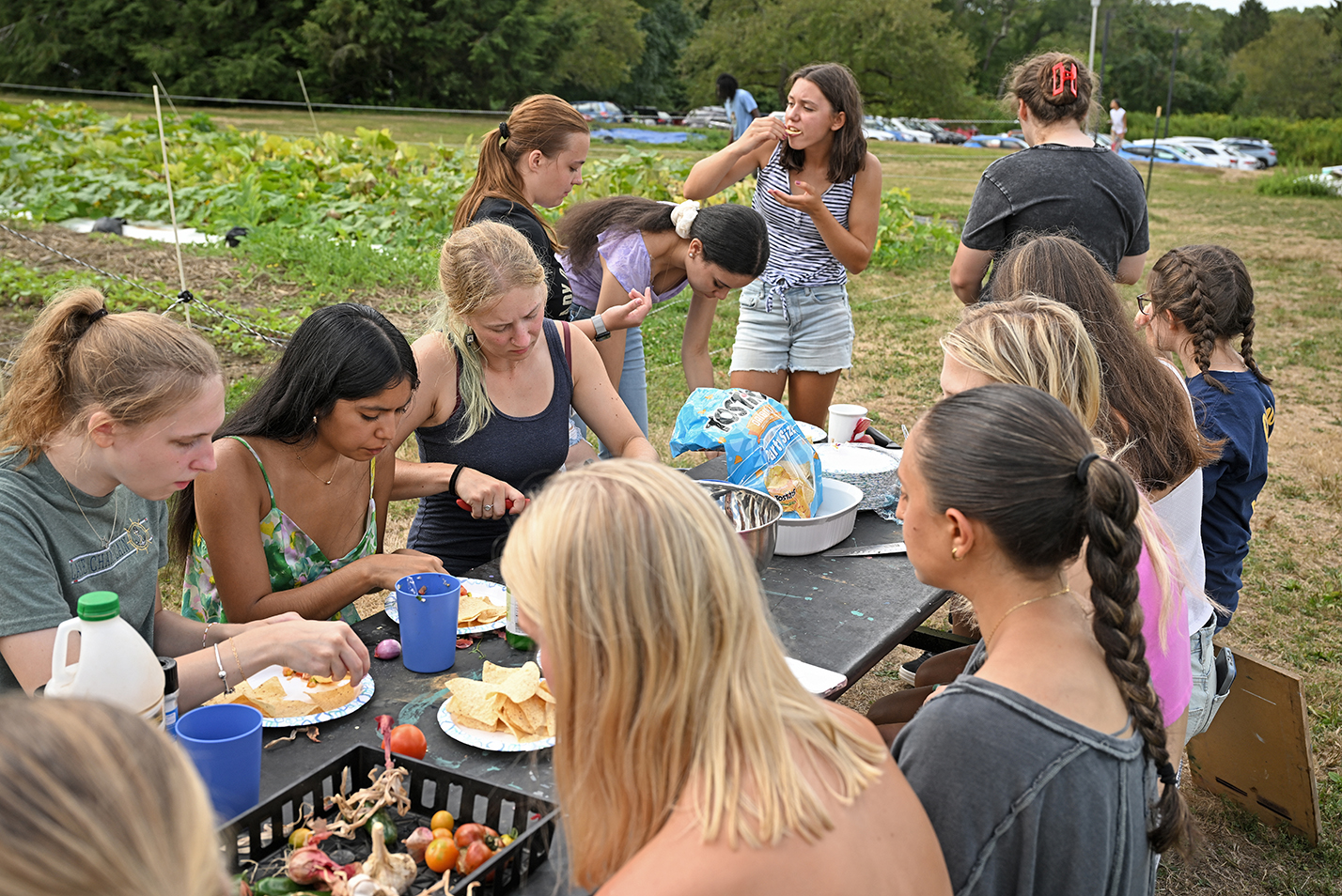 A group of college students make, and eat, salsa around a table at a student garden.