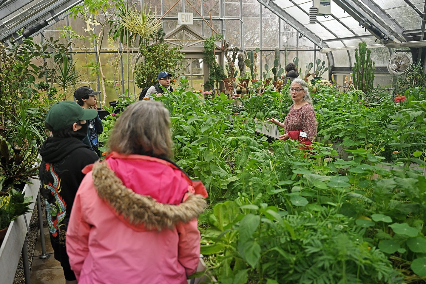 Surrounded by green plants, a college botany professor gives a tour of a greenhouse.