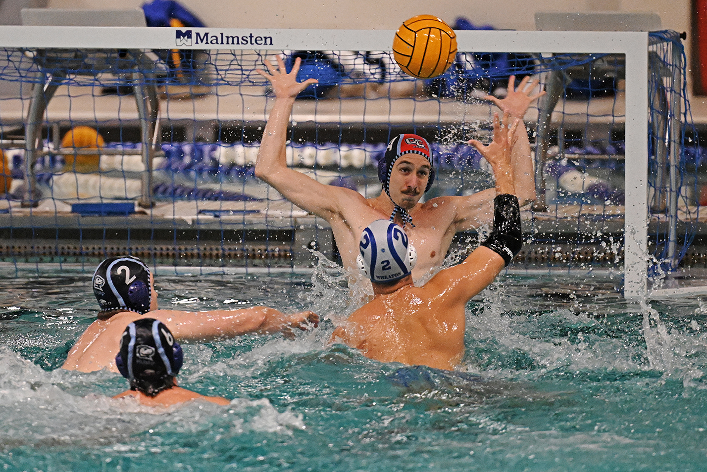 A college water polo goalie rises out of the water with hands raised to block a shot.