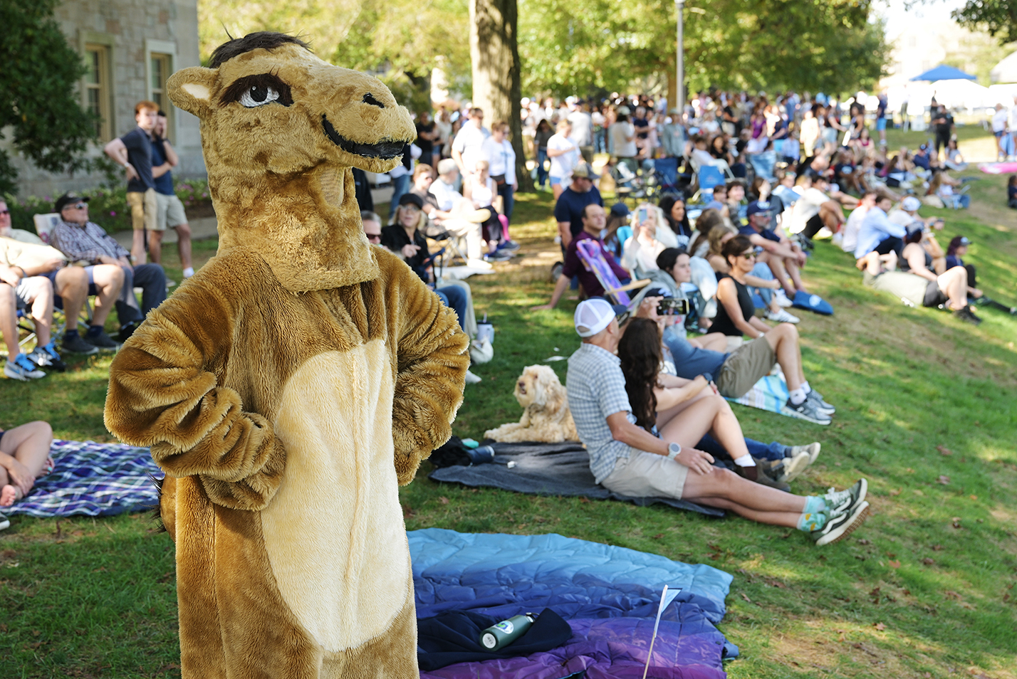 A college camel mascot stands with soccer fans on a hill overlooking the soccer pitch during a match.