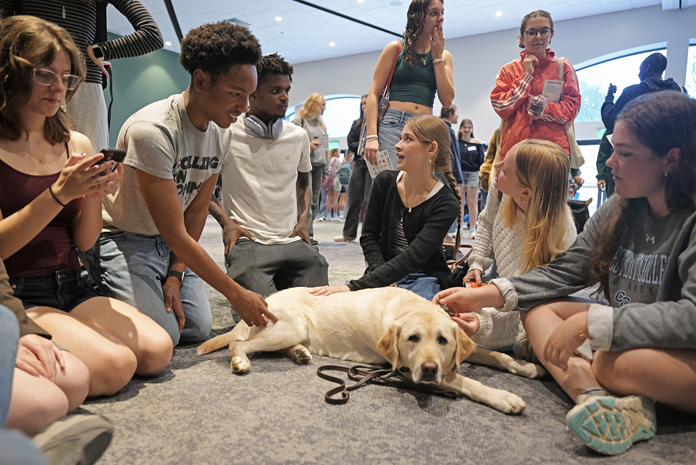 A group of college students sit and kneel on the floor around a yellow Labrador police comfort dog.