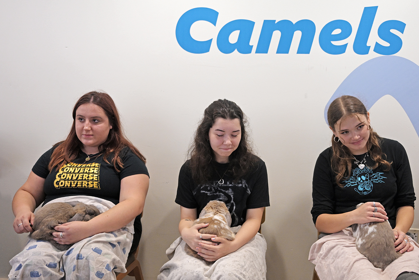 three female college students sit with rabbits on their laps during a college wellness fair.