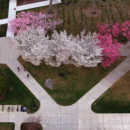 April in Pictures