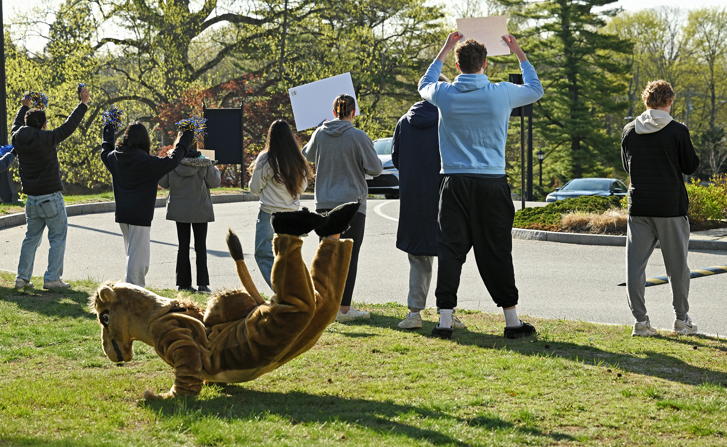 A person on a camel mascot costume does a worm dance as other students facing away wave signs and cheer at cars pulling not campus.