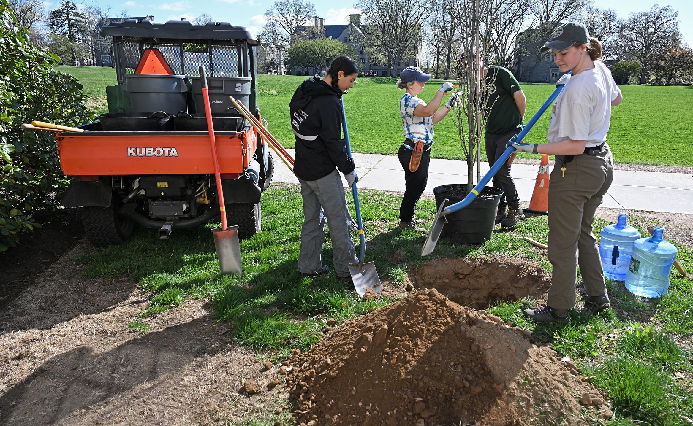 Four groundskeepers dig a hole to plant a tree by a sidewalk across from a college green.