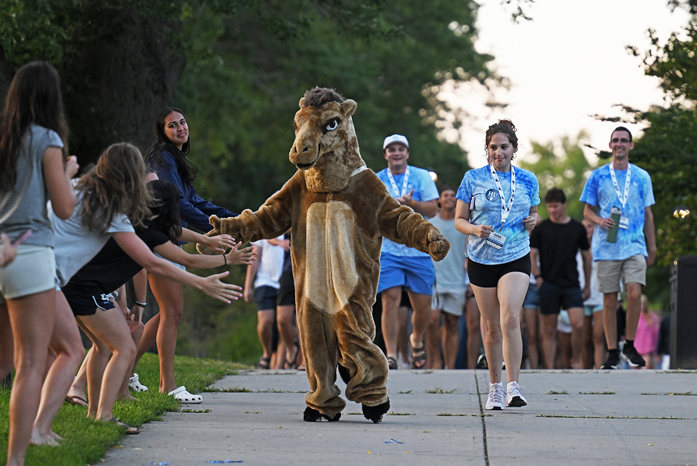 A student in a camel mascot costume high fives students gathered along a walkway while leading a parade of new students.