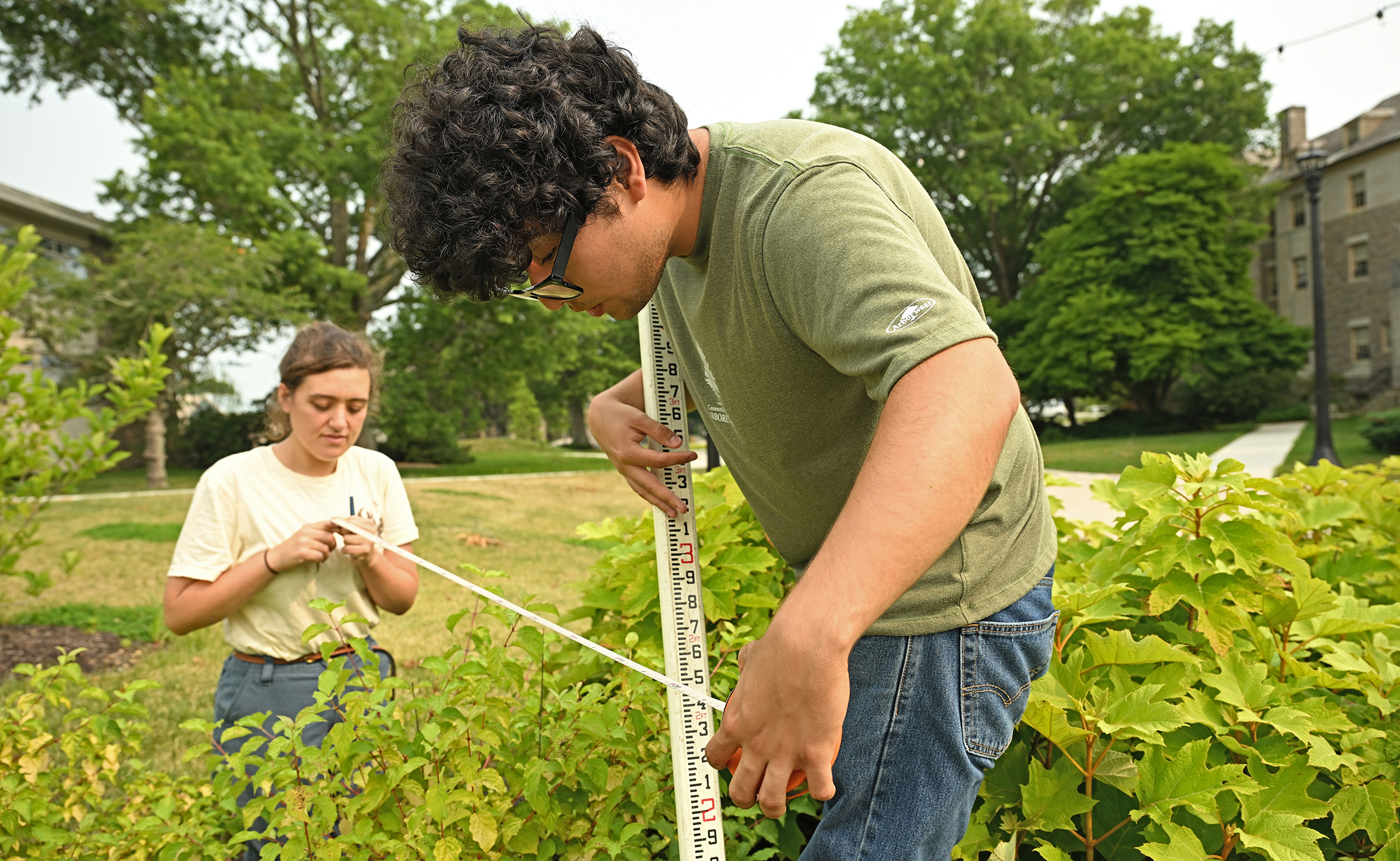 A college student with curly hair, glasses and wearing an olive green t-shirt holds a measuring stick in one hand and the end of a tape measure in the other while a woman in a white t-shirt holds the other end of the tape measure over a plant.