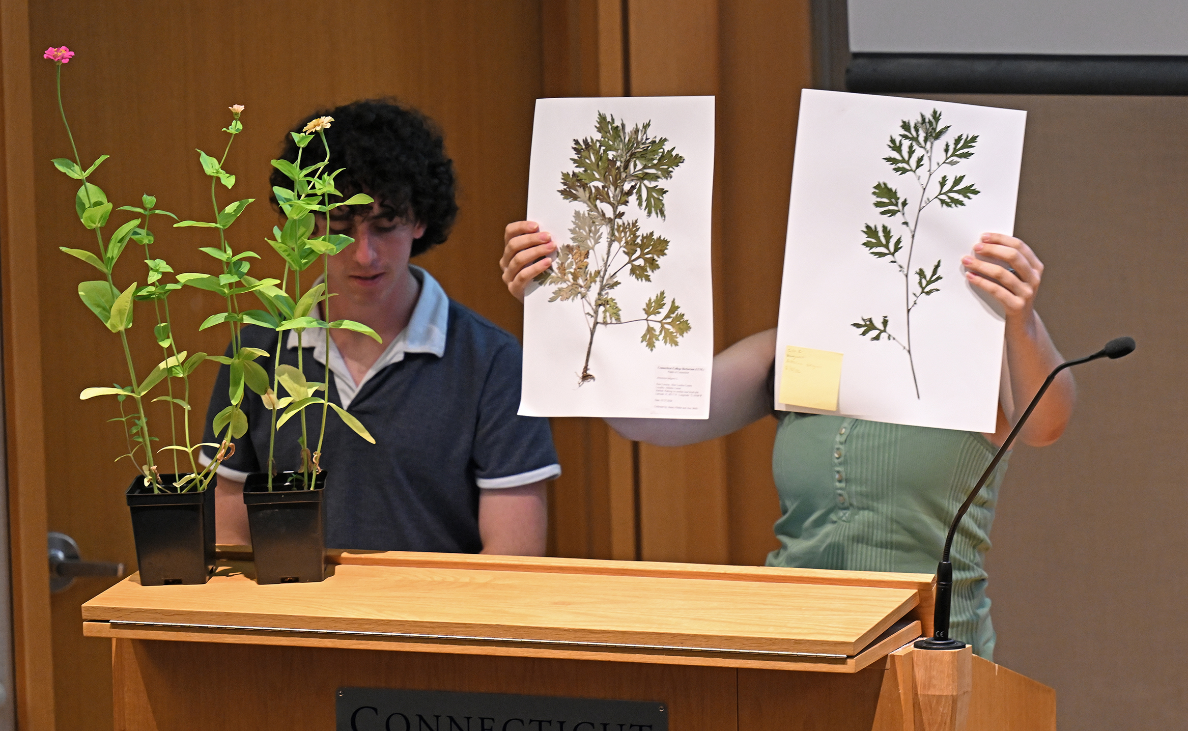 Two college students, one holding a pair of pressed plants on large sheets of white paper, the other standing behind a living flowering plant, stand at a podium to present research in a college auditorium.