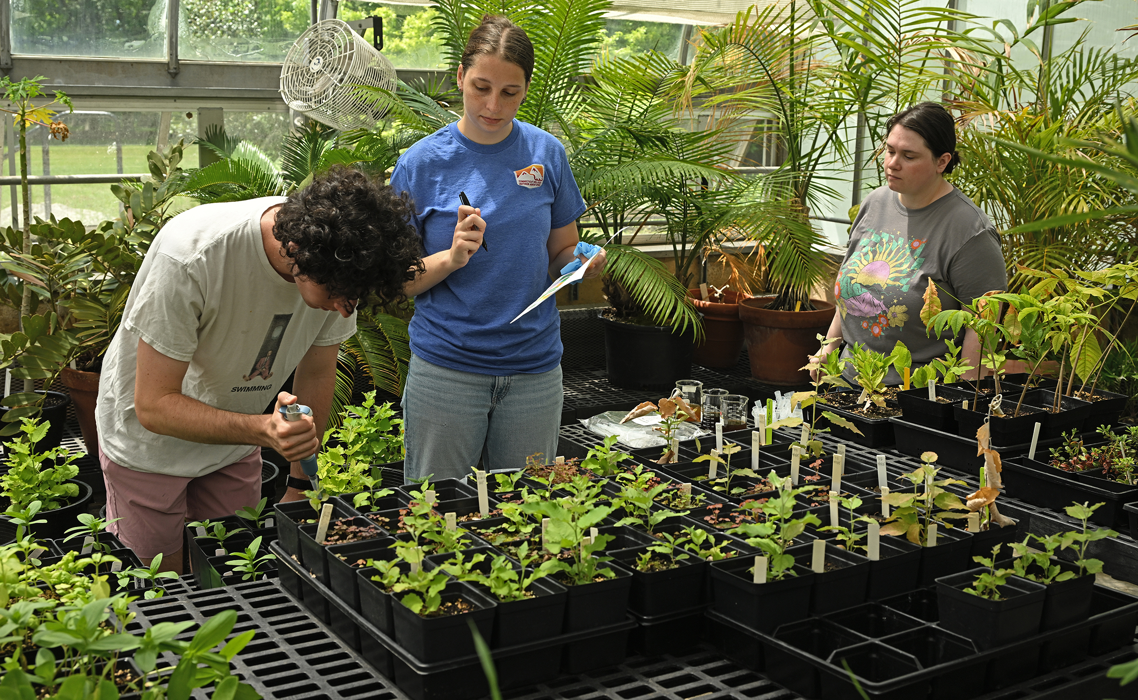 A college professor in graphic t-shirt watches as two students work on a botany experiment on plants in a greenhouse.