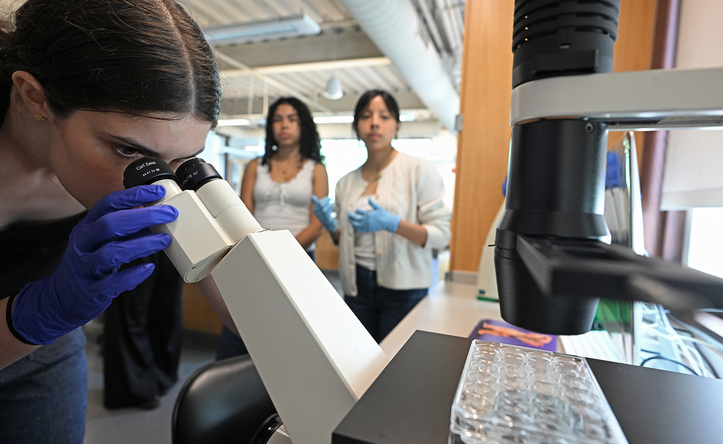 A female college student wearing blue gloves peers into a binocular microscope as two other students watch in the background.