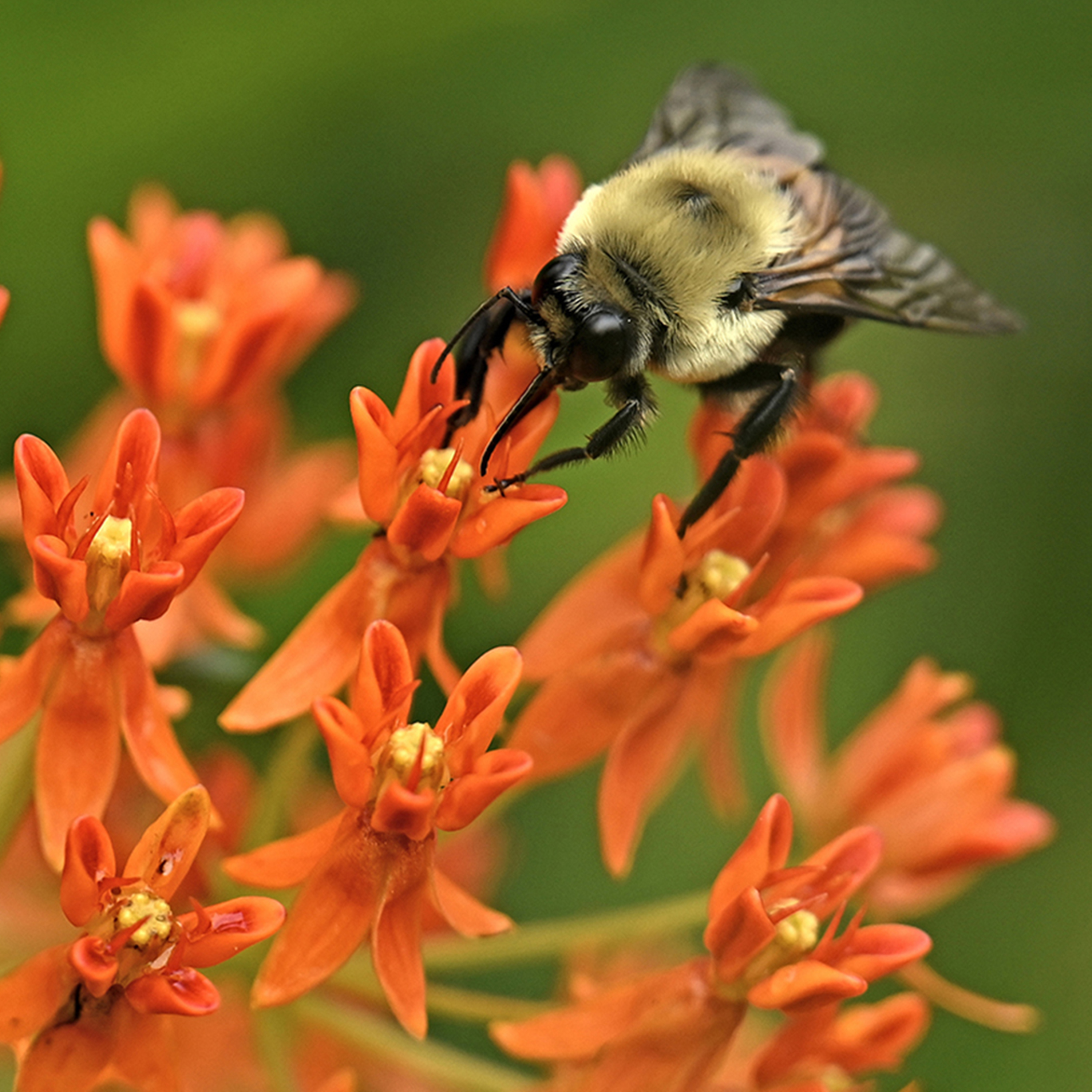 June in Pictures