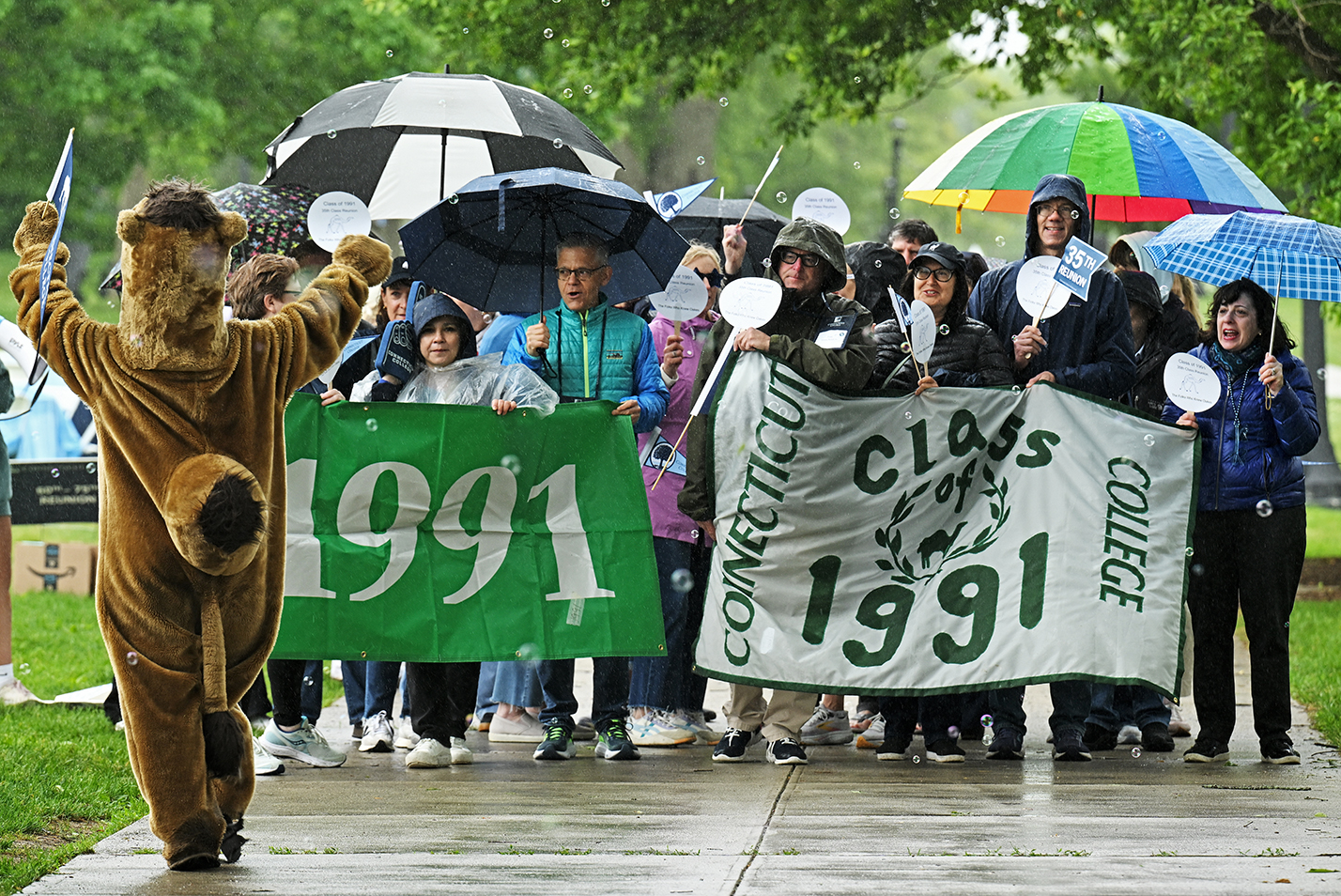 A college camel mascot costume with arms raised races to join a group of alumni carrying two 1991 banners, and many holding umbrellas.