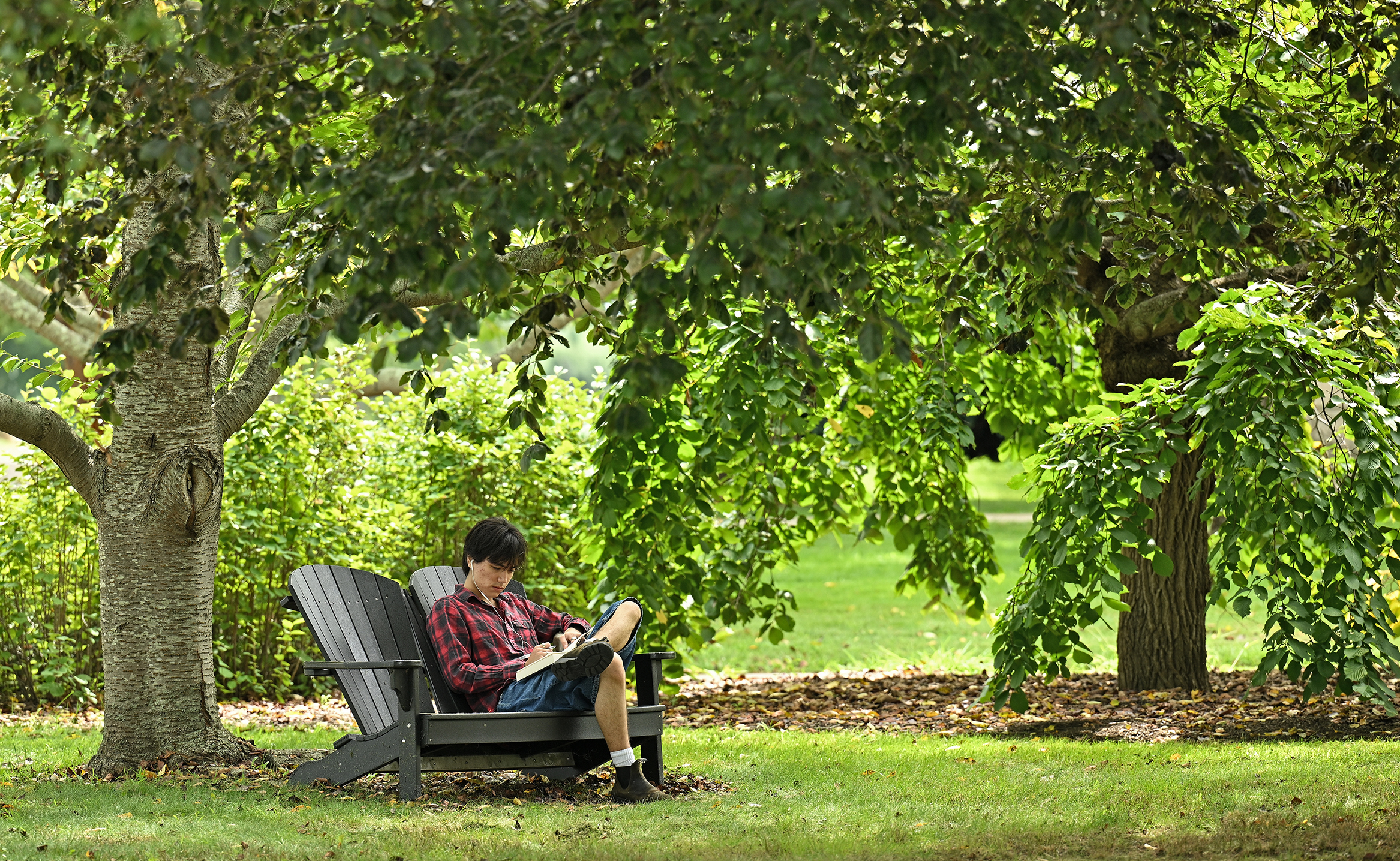 A male college student in a red plaid shirt sits in a double Adirondack chair reading in the shade of some trees.