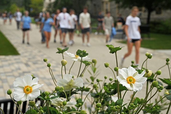 White and yellow flowers fill the foreground as students walk across campus.