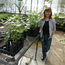 Botany professor Rachel Spicer poses with plants inside Connecticut College's newly renovated greenhouse. 