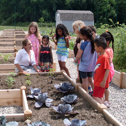 Zoe Madden '12 (in white), director of coordinated school health for Norwich Public Schools, works with children in the new garden at their school.