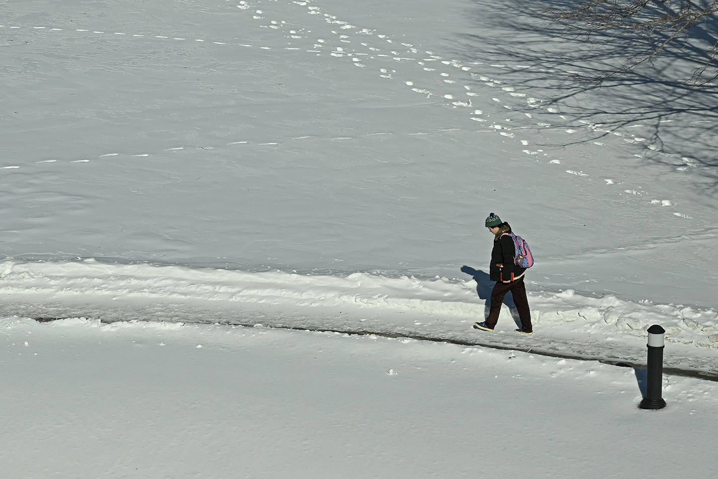 A lone college student in coat and stocking cap walks along a path surrounded by snow-covered fields.