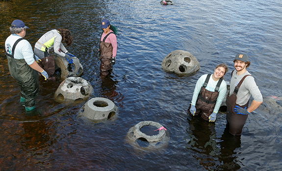 Students installing reef balls in the Thames River