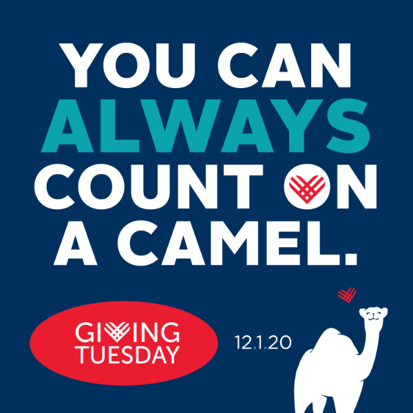 Graphic that says You can always count on a camel