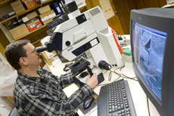 Professor Peter Siver in his lab.